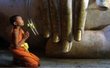 Lòng thương yêu muôn loài